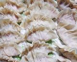 キャベツと生椎茸の餃子作り方8写真