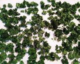 ドライパセリ★自家製作り方3写真