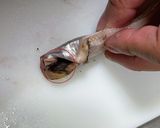 ハタハタの捌き方(背開き、腹開き)作り方6写真