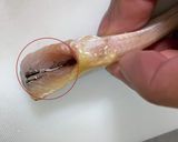 ハタハタの捌き方(背開き、腹開き)作り方7写真