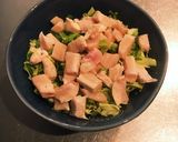 満腹鳥ムネ肉丼　ダイエット料理作り方5写真