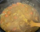 時短を目指した炊飯器カレー作り方8写真