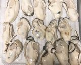 かきと新じゃがのグラタン作り方5写真