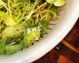 きのこ雑炊作り方7写真