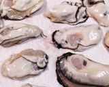 牡蠣のオイル漬け作り方1写真