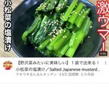 塩昆布の旨味がギュッ！白菜の塩昆布漬け作り方4写真