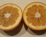 だいだいのドレッシング作り方1写真