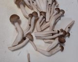 あっさりクリームスープ♪作り方4写真
