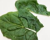 離乳食初期＊野菜②＊ほうれん草＊作り方1写真