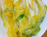 白菜漬け(簡単、自己流で)作り方10写真
