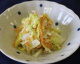 キャベツがうまい！簡単コールスロー作り方3写真