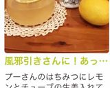 風邪引きさんに！あったかレモン蜂蜜水♡作り方3写真