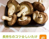簡単豆知識☆まるごとしいたけ冷凍保存法作り方5写真