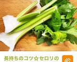 簡単豆知識☆使いやすいセロリの冷凍保存法作り方4写真