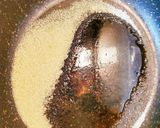 材料3つdeなめらか簡単プリン作り方10写真