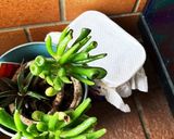 ドリップコーヒーのだしがらで消臭剤を作り方11写真
