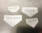 超簡単！プランター風チョコムース作り方2写真