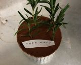 超簡単！プランター風チョコムース作り方12写真