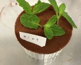 超簡単！プランター風チョコムース作り方13写真