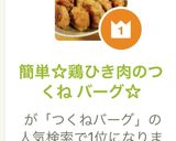 簡単☆鶏ひき肉のつくね バーグ☆作り方10写真