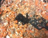 麺にもごはんにも合う☆肉みそ作り方7写真
