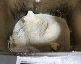 しっとり生姜パン（おからパウダー入り）作り方3写真