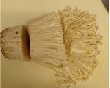 えのきワカメ ~我が家のなめ茸~作り方1写真