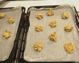 おから粉＆オートミールクッキー (少量)作り方6写真