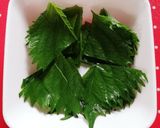 夏野菜のさっぱり浅漬け♡めんつゆで簡単作り方4写真