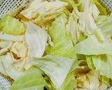 材料3つ簡単ツナキャベツサラダ作り方1写真