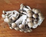 時短簡単☆ルッコラと味噌漬け豚の蒸し炒め作り方2写真
