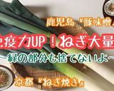 【ご飯のお供】冷凍OK！鹿児島♡豚みそ作り方9写真