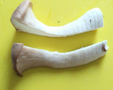 簡単！エリンギの肉巻き照り焼き！作り方4写真