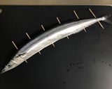 秋刀魚の佃煮　骨まで美味しい！作り方1写真