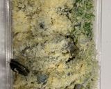 5種アレンジ　海老フライ作り方6写真