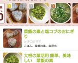 菜飯の素と梅子のおにぎり作り方2写真