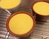 缶詰プリン風！ちょっと固めな優しいプリン作り方12写真