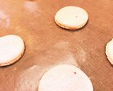 簡単マカロン作り方14写真