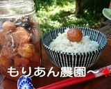 ねこまんまに梅干しON！梅おかかごはん作り方5写真