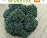 凄く持つ胡瓜の保存方法作り方4写真