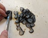 愛知の魚100　ナマコ酢の作成・保存方法作り方7写真