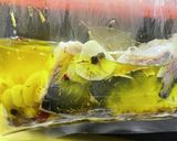 低温調理で作るオイルサーディンの作り方作り方6写真