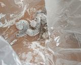 ヘルシー★辛旨海老チリ&オクラ★デパ地下作り方2写真