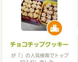 【定番！美味しい！】チョコチップクッキー作り方8写真