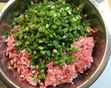 発展途上の羽根付き焼き餃子（大豆入）作り方3写真