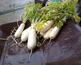 ねずみ大根と豚肉のうま煮♪お好みの大根で作り方7写真