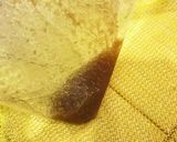 低温調理の柔らかハンバーグ　おろしポン酢作り方24写真