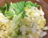 簡単！白菜のナムル風（薄味）作り方5写真