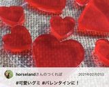 果汁グミ　子どもと作る作り方4写真