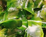 ごまダレ濃厚！しっとり美味しい棒棒鶏作り方8写真